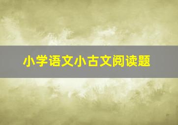 小学语文小古文阅读题