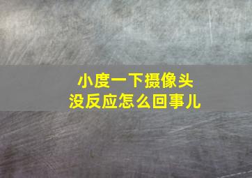 小度一下摄像头没反应怎么回事儿