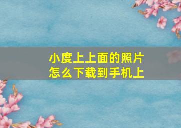 小度上上面的照片怎么下载到手机上