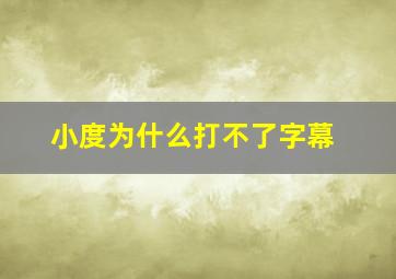 小度为什么打不了字幕