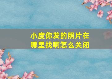 小度你发的照片在哪里找啊怎么关闭