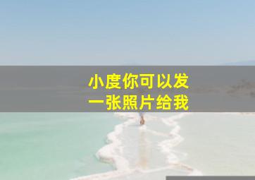 小度你可以发一张照片给我