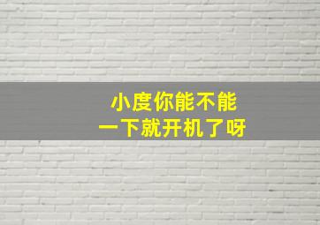 小度你能不能一下就开机了呀