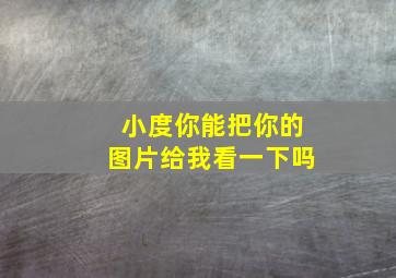 小度你能把你的图片给我看一下吗