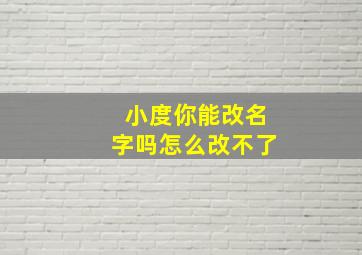 小度你能改名字吗怎么改不了