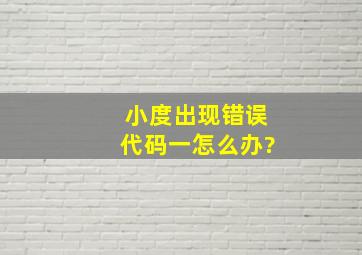 小度出现错误代码一怎么办?