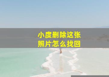 小度删除这张照片怎么找回