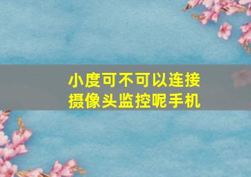 小度可不可以连接摄像头监控呢手机