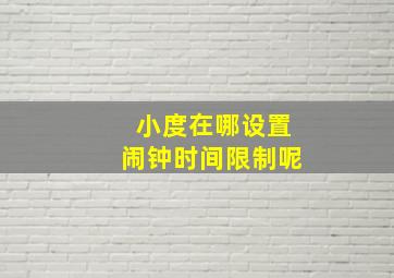 小度在哪设置闹钟时间限制呢