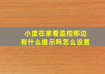 小度在家看监控那边有什么提示吗怎么设置