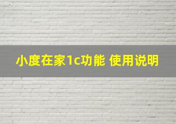 小度在家1c功能 使用说明