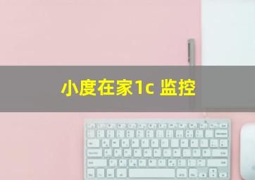 小度在家1c 监控