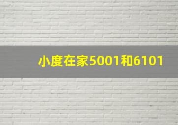 小度在家5001和6101