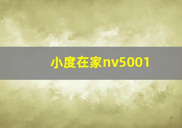 小度在家nv5001