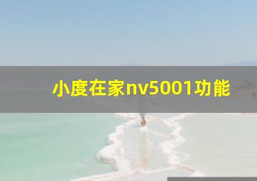 小度在家nv5001功能