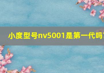 小度型号nv5001是第一代吗?