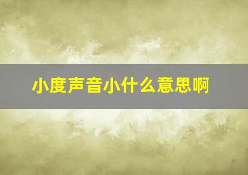 小度声音小什么意思啊