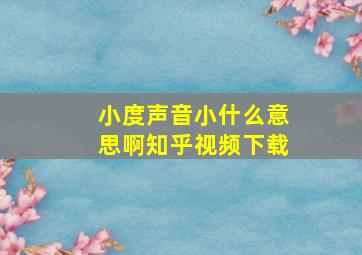 小度声音小什么意思啊知乎视频下载