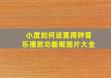 小度如何设置闹钟音乐播放功能呢图片大全