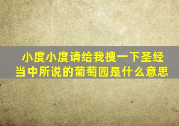 小度小度请给我搜一下圣经当中所说的葡萄园是什么意思