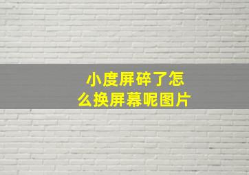 小度屏碎了怎么换屏幕呢图片