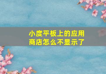 小度平板上的应用商店怎么不显示了