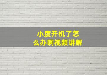 小度开机了怎么办啊视频讲解