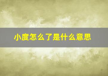 小度怎么了是什么意思