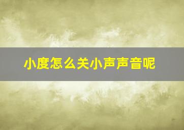 小度怎么关小声声音呢