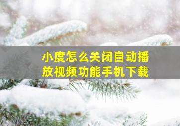 小度怎么关闭自动播放视频功能手机下载