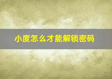 小度怎么才能解锁密码