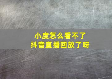 小度怎么看不了抖音直播回放了呀