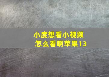 小度想看小视频怎么看啊苹果13