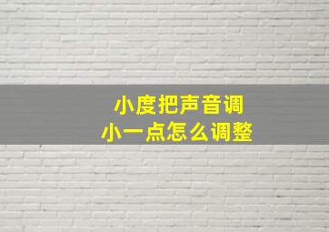 小度把声音调小一点怎么调整