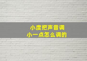 小度把声音调小一点怎么调的