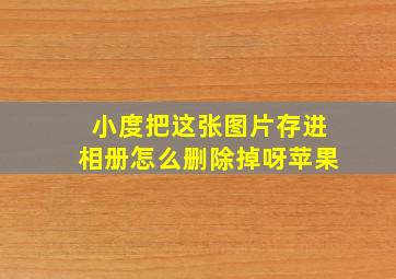 小度把这张图片存进相册怎么删除掉呀苹果