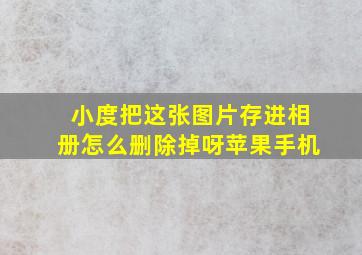 小度把这张图片存进相册怎么删除掉呀苹果手机