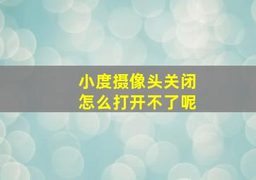 小度摄像头关闭怎么打开不了呢