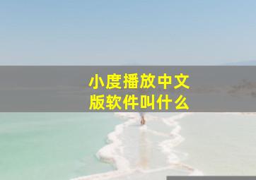 小度播放中文版软件叫什么