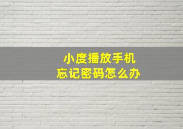 小度播放手机忘记密码怎么办