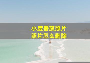 小度播放照片照片怎么删除