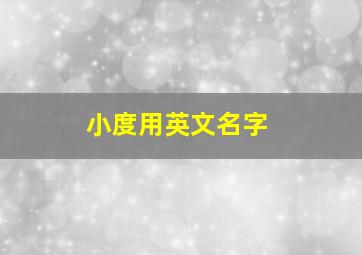 小度用英文名字