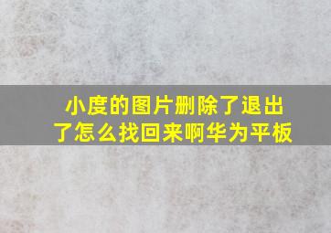 小度的图片删除了退出了怎么找回来啊华为平板