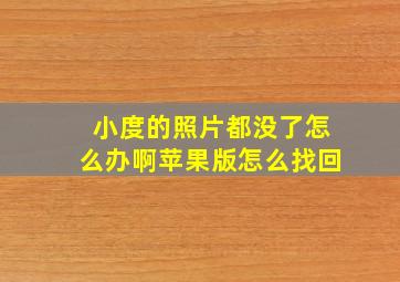 小度的照片都没了怎么办啊苹果版怎么找回