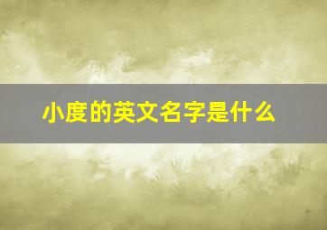 小度的英文名字是什么