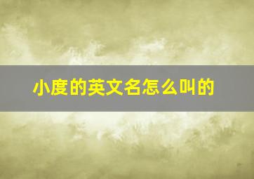 小度的英文名怎么叫的