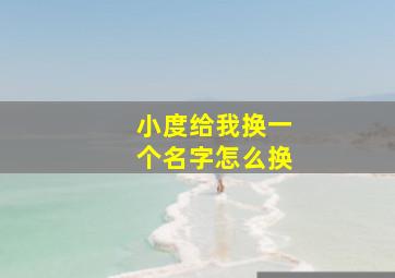 小度给我换一个名字怎么换