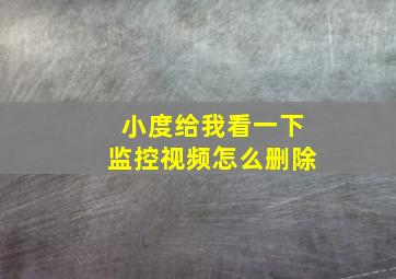 小度给我看一下监控视频怎么删除