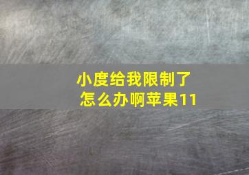 小度给我限制了怎么办啊苹果11