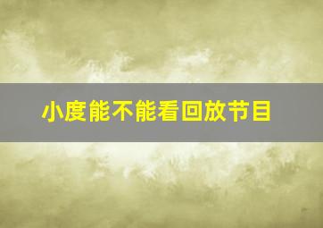 小度能不能看回放节目